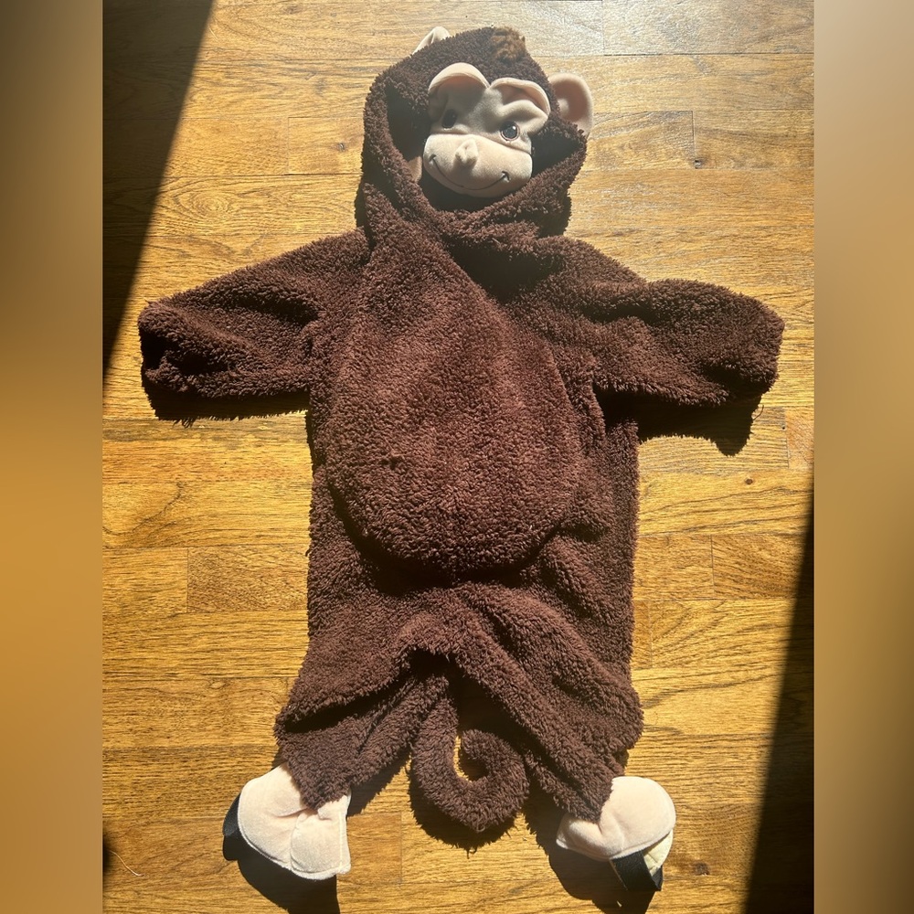 12 months monkey costume